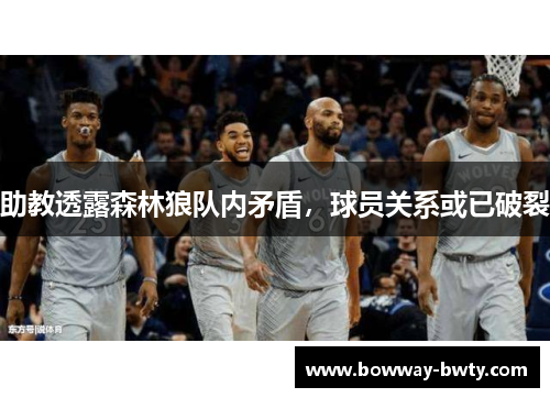 助教透露森林狼队内矛盾，球员关系或已破裂
